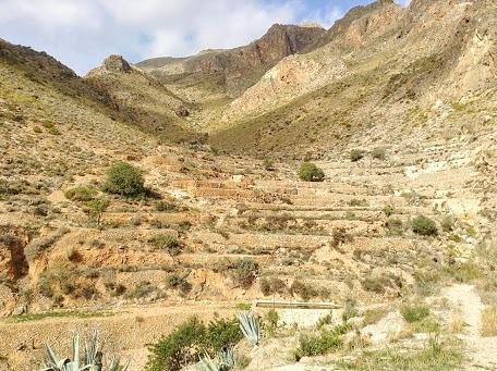 Cortijo El Molino Apartamento"El Balconcito" Níjar Exterior foto